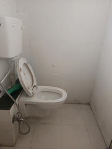 Common Bathroom Image of 1100 Sq.ft 2 BHK Apartment / Flat for rent in Magarpatta Trillium, Magarpatta City Pune for Rs. 35000