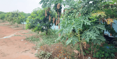 Image of 4320 Sq.ft Residential Plot / Land for sale in Kadthal, Hyderabad for Rs. 4799520