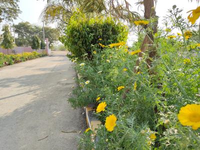 Image of 1250 Sq.ft Residential Plot / Land for sale in Mohanlalganj, Lucknow for Rs. 2000000