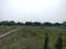 Sherpur  Plot View 2