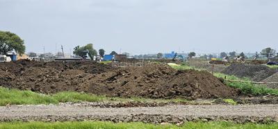 Manglia Plot View 3