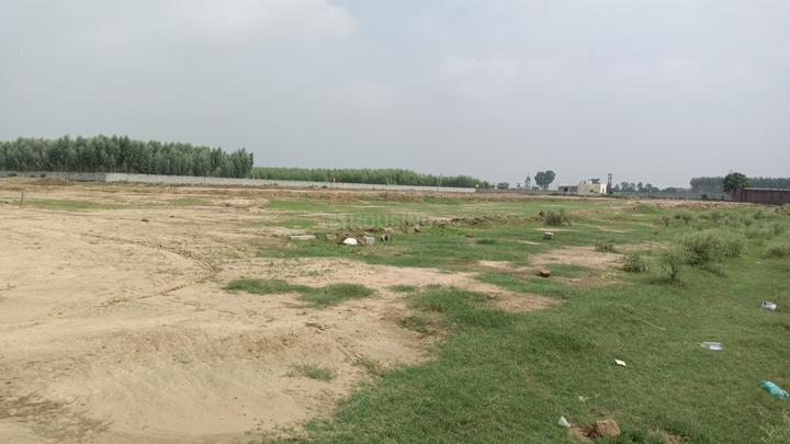 SKY ELITE Main Image 1