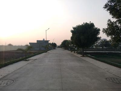 Soha Neal City Internal Roads 2