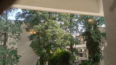Image of 1700 Sq.ft 3 BHK Apartment / Flat for sale in DLF Exclusive Floors, Sector 54, Gurgaon for Rs. 32000000