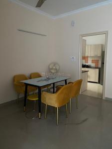 Living Room Image of 1664 Sq.ft 2 BHK Apartment / Flat for rent in Ansal Orchard County Tulip and Carnation, Sector 115 Mohali for Rs. 25999