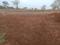 Bhor Plot View 2