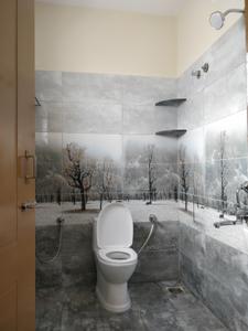 Bathroom Image of 1200 Sq.ft 2.5 BHK Independent House for rent in Singasandra Bengaluru for Rs. 42000