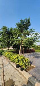 Image of 1200 Sq.ft Residential Plot / Land for sale in Aashraya Ruchi Enclave, Nipania, Indore for Rs. 10800000