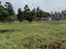 Koushik Main Image 1