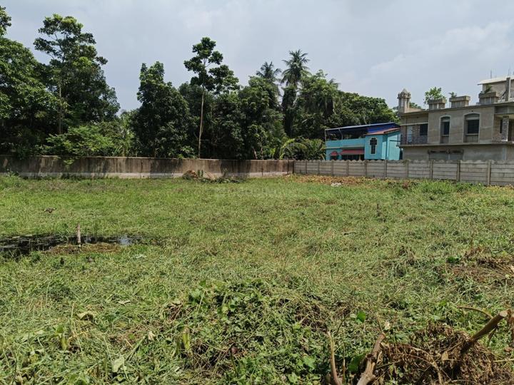 Koushik Main Image 1