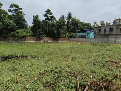 Residential Plot