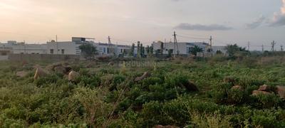 B. Thandrapadu Plot View 3