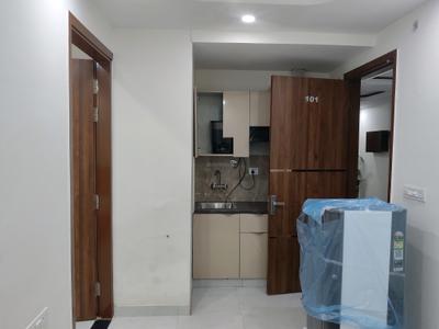 Living Room Image of 950 Sq.ft 1 BHK Builder Floor for rent in Sector 39 Gurgaon for Rs. 33000