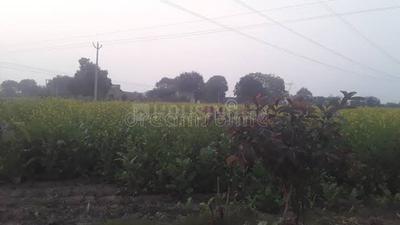 Image of 2271 Sq.ft Residential Plot / Land for sale in Meerut Cantt, Meerut for Rs. 3400000