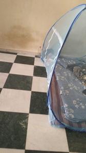 Image of 500 Sq.ft 2 BHK Independent House for rent in Usmanpura, Ahmedabad for Rs. 6000