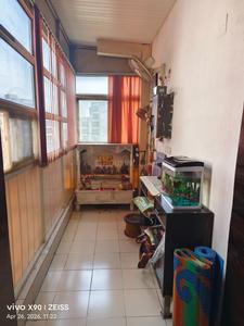Balcony Image of 980 Sq.ft 2 BHK Apartment / Flat for sale in Gaurs Homes Elegante, Govindpuram Ghaziabad for Rs. 4700000