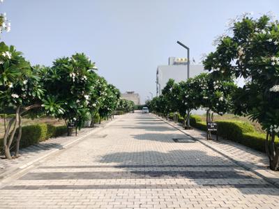 Image of 1080 Sq.ft Residential Plot / Land for sale in Mansha Oaks, Sector 98, Faridabad for Rs. 16000000