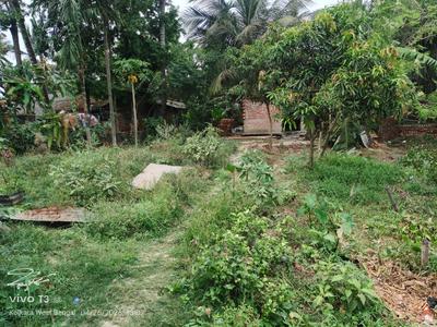 Narayanpur Kadihati Plot View 3