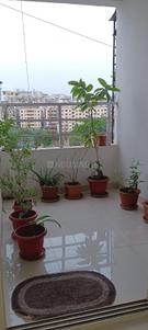 Balcony Image of 500 Sq.ft 1 BHK Apartment / Flat for sale in Narhe Pune for Rs. 2700000