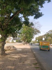 The Park By Repose Internal Roads 2