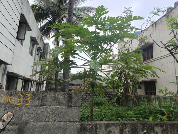 Esther enclave near Webnizar school Main Image 1