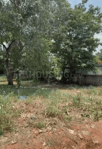 Image of 8712 Sq.ft Residential Plot / Land for sale in Madakkathara, Thrissur for Rs. 6200000