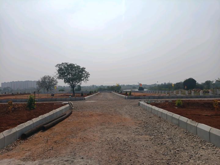 SGD Elite Main Image 1