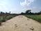 YEIDA Individual Residential Plots Internal Roads 1