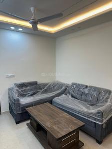 Hall Image of 450 Sq.ft 1 BHK Apartment / Flat for rent in Sankalp Alexa Homes, Jagatpura Jaipur for Rs. 22000