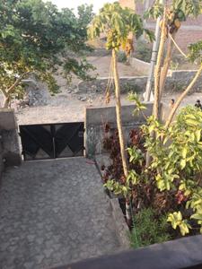 Balcony Image of 1200 Sq.ft 1 RK Independent House for rent in Balicha Udaipur for Rs. 7000