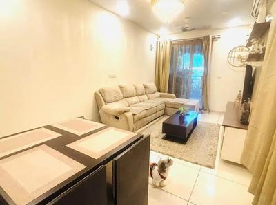 Hall Image of 1100 Sq.ft 2 BHK Apartment / Flat for rent in Thiruvanmiyur Chennai for Rs. 50000