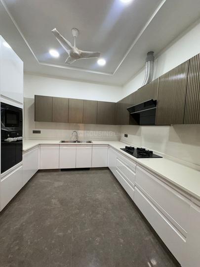 Block C, Defence Colony Kitchen 1