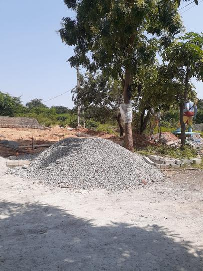 royal rajputana co Main Image 1