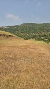 Image of 11000 Sq.ft Residential Plot / Land for sale in Kikvi, Pune for Rs. 1900000