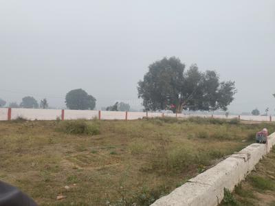 Saimari Plot View 3