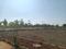 Alekhya NSR County Plot View 2