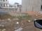 Bajwa Sunny Enclave Main Image 1