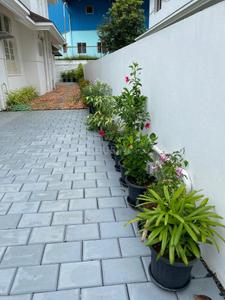 Image of 4800 Sq.ft 3 BHK Villa for sale in Olive Builders Kalista Villas, Kakkanad, Kochi for Rs. 45000000
