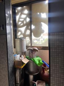 Bathroom Image of 910 Sq.ft 2 BHK Apartment / Flat for sale in Casa Terraza, Vasai West Vasai for Rs. 9000000