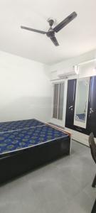 Bedroom Image of 1200 Sq.ft 3 BHK Apartment / Flat for rent in Ayodhya Bypass Bhopal for Rs. 23000