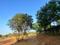 Universal city prime Plot View 2