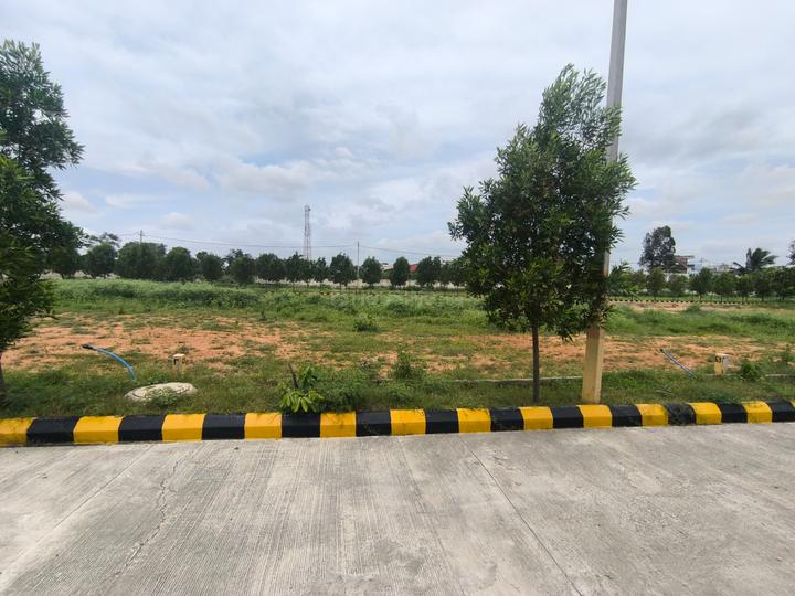 PJR COUNTY Main Image 1