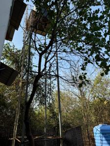 Image of 8000 Sq.ft 4 BHK Farm House for sale in Arambol, Goa for Rs. 27000000