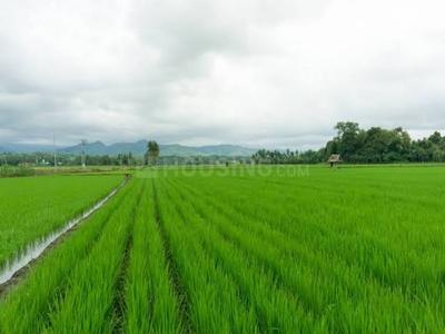 Image of 338896 Sq.ft Residential Plot / Land for sale in Shyampur, Bhopal for Rs. 16800000