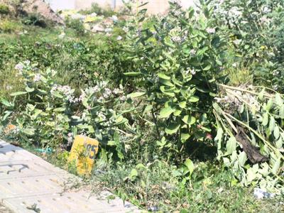 Image of 1400 Sq.ft Residential Plot / Land for sale in Gerugambakkam, Chennai for Rs. 11900000
