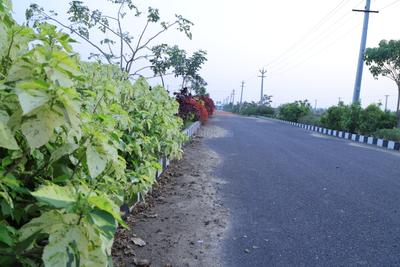 Image of 200 Sq.ft Residential Plot / Land for sale in Bhogapuram, Visakhapatnam for Rs. 7400000