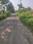Metroplex City Internal Roads 2