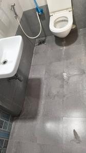 Image of 1159 Sq.ft 3.5 BHK Apartment / Flat for rent in Borivali West, Mumbai for Rs. 65000