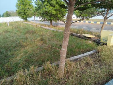 Image of 1800 Sq.ft Residential Plot / Land for sale in Lam, Guntur for Rs. 3228480