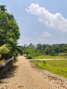 Image of 1742 Sq.ft Residential Plot / Land for sale in Kizhakkambalam, Kochi for Rs. 2000000